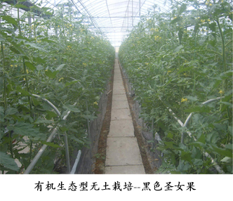 基地简介