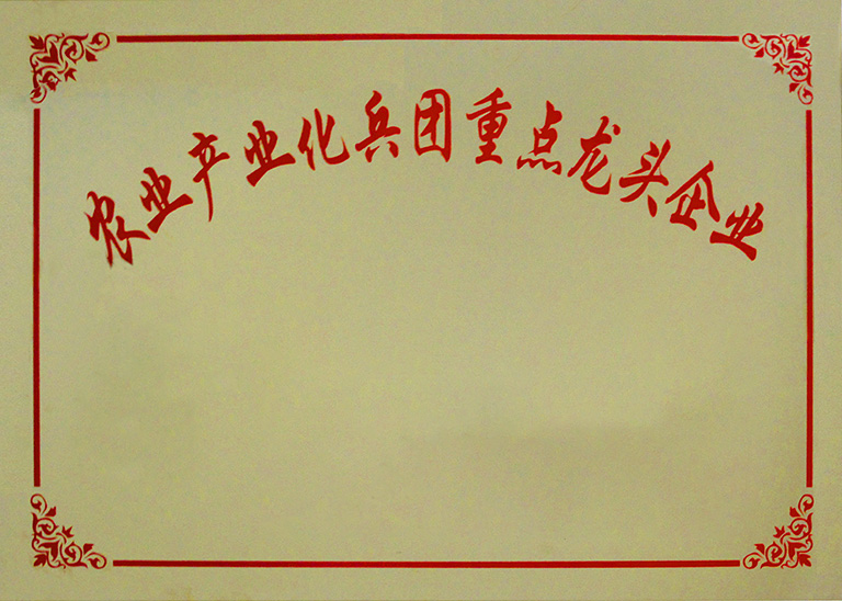 荣誉资质6